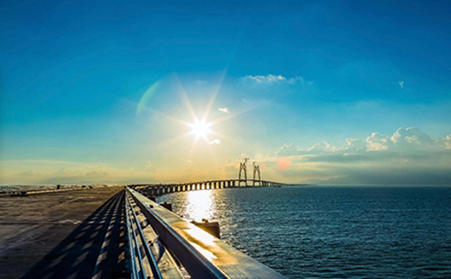 1555918753360329.jpeg 4.jpeg